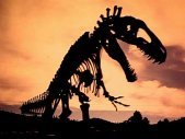 Acrocanthosaurus