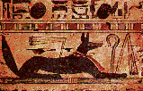 Anubis