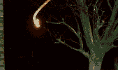 Strange Lights in the Sky