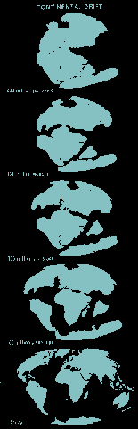 Earth Crust Displacement