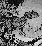 Dinosaur Fossils