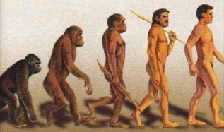 Darwin's Evolution