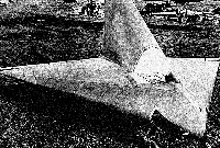 DM 1