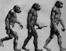 Darwin's Evolution Theory