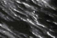 Moon Crater UFO