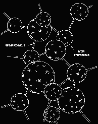 Time Travel Theory