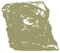 Nevada Footprint