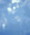 Pictures of UFOs