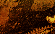 The Planet Venus