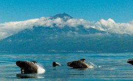 Lost Civilisation Theories