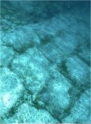 Bimini Road