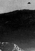 Unidentified Flying Disk